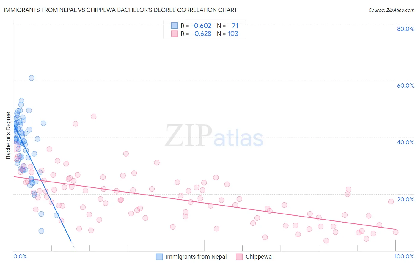 Immigrants from Nepal vs Chippewa Bachelor's Degree