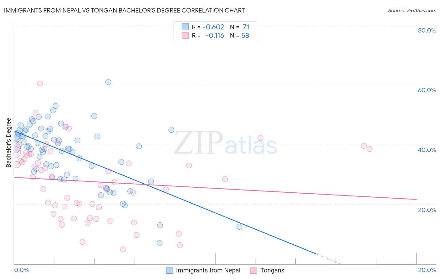 Immigrants from Nepal vs Tongan Bachelor's Degree