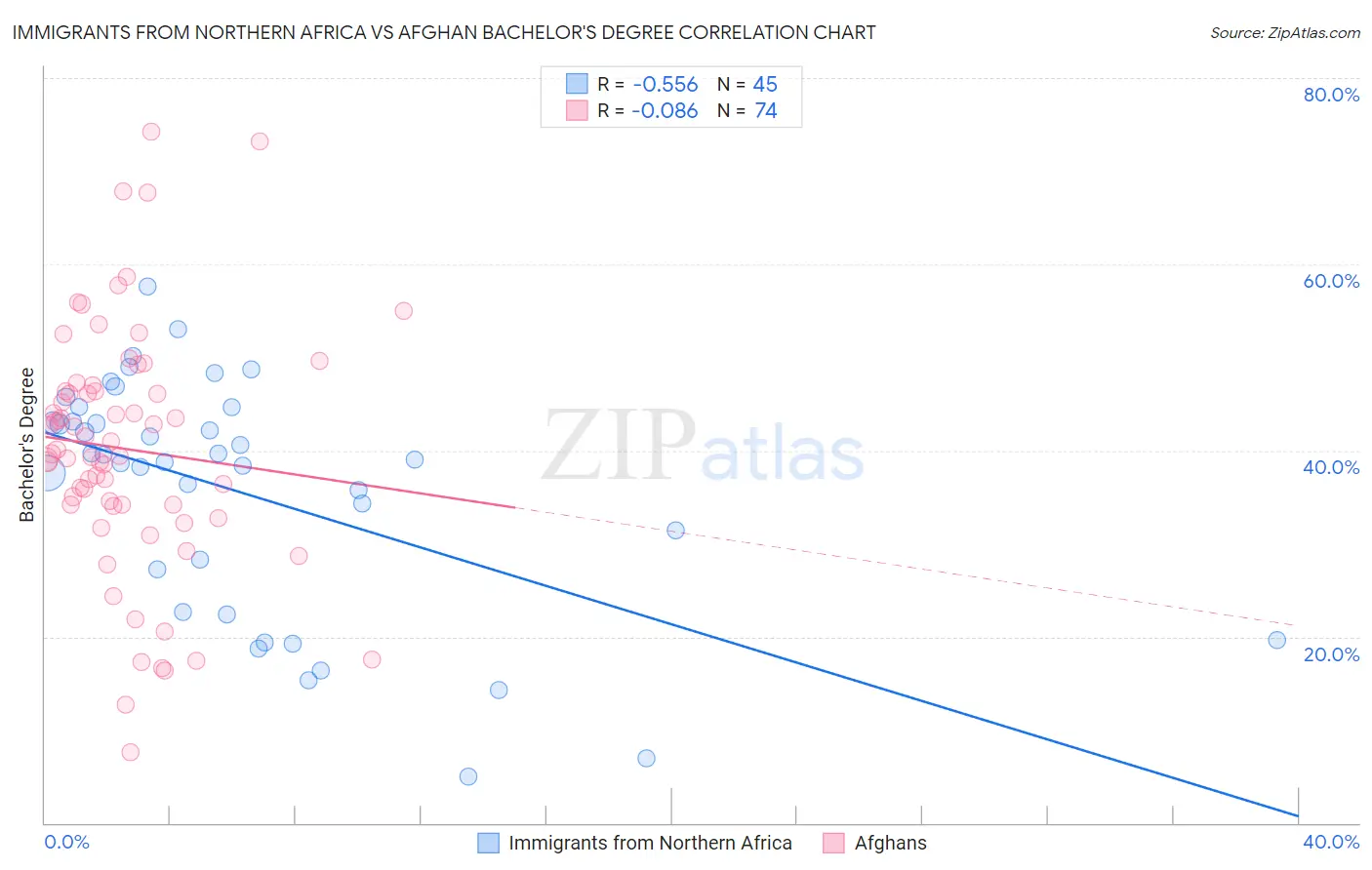 Immigrants from Northern Africa vs Afghan Bachelor's Degree