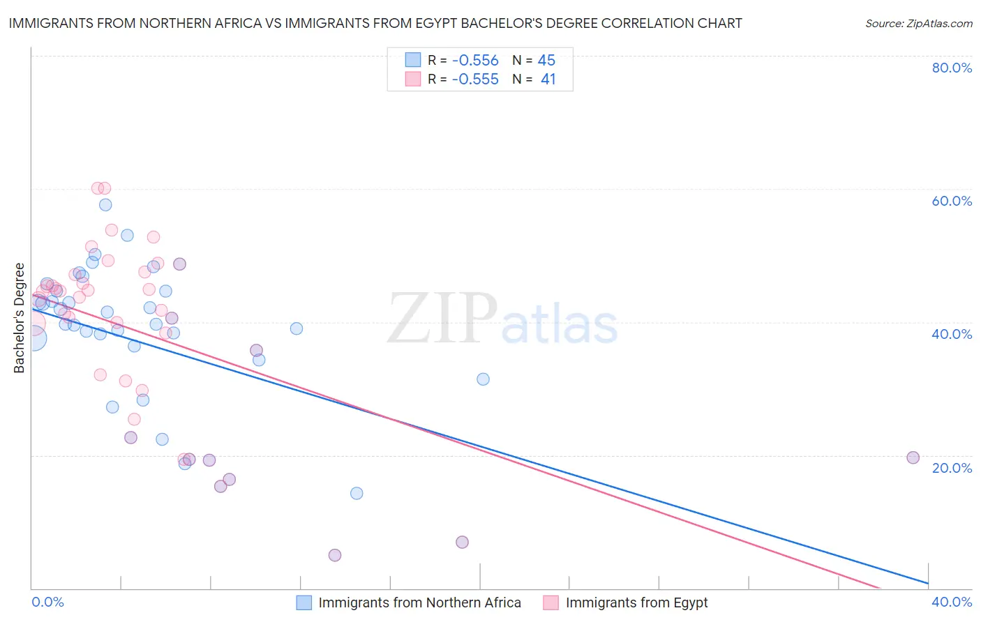 Immigrants from Northern Africa vs Immigrants from Egypt Bachelor's Degree