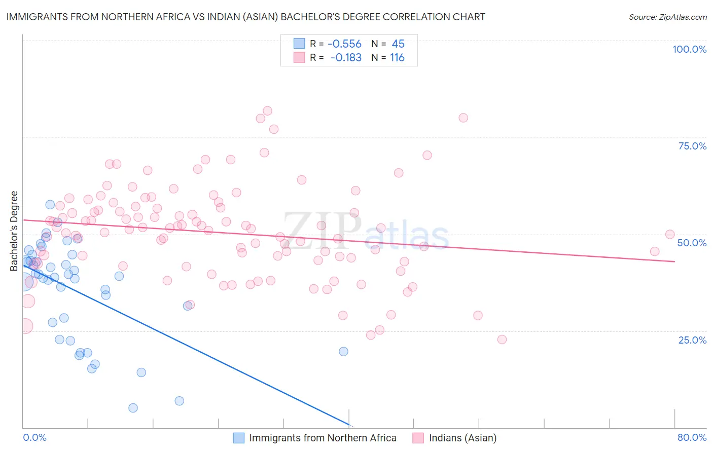 Immigrants from Northern Africa vs Indian (Asian) Bachelor's Degree