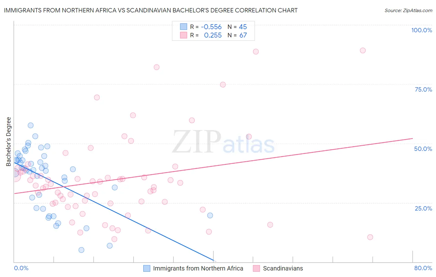 Immigrants from Northern Africa vs Scandinavian Bachelor's Degree