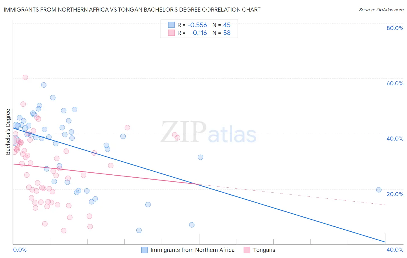 Immigrants from Northern Africa vs Tongan Bachelor's Degree