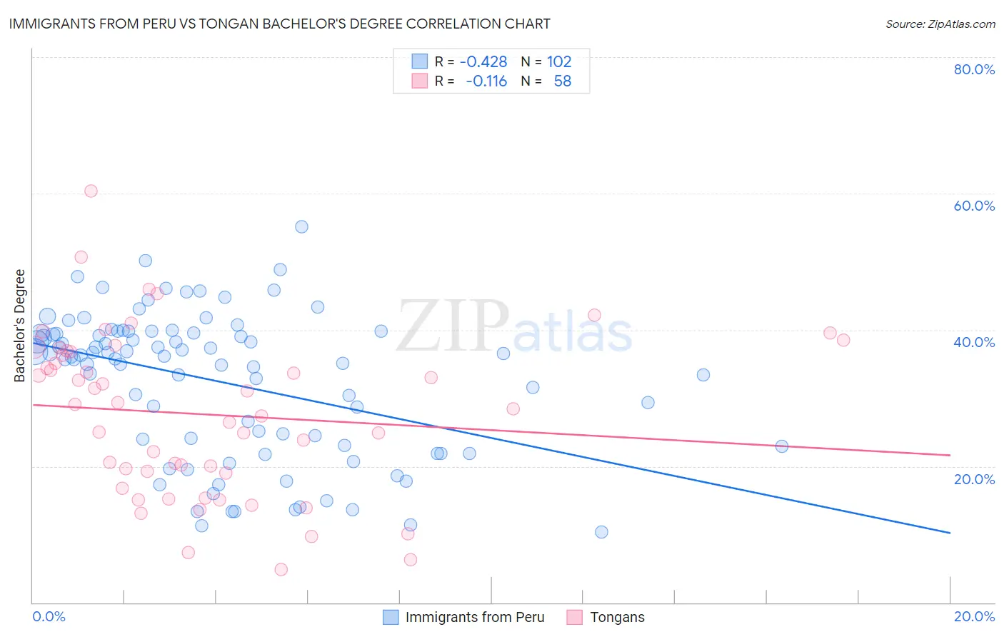Immigrants from Peru vs Tongan Bachelor's Degree
