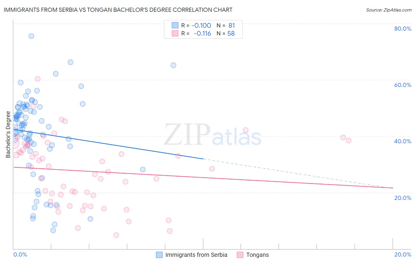 Immigrants from Serbia vs Tongan Bachelor's Degree