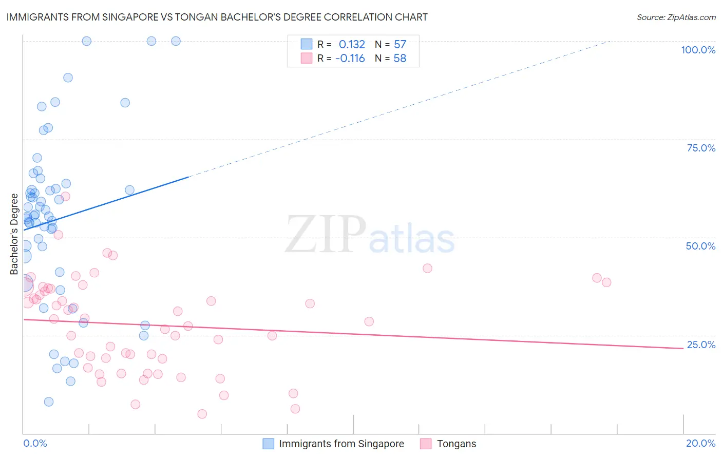 Immigrants from Singapore vs Tongan Bachelor's Degree