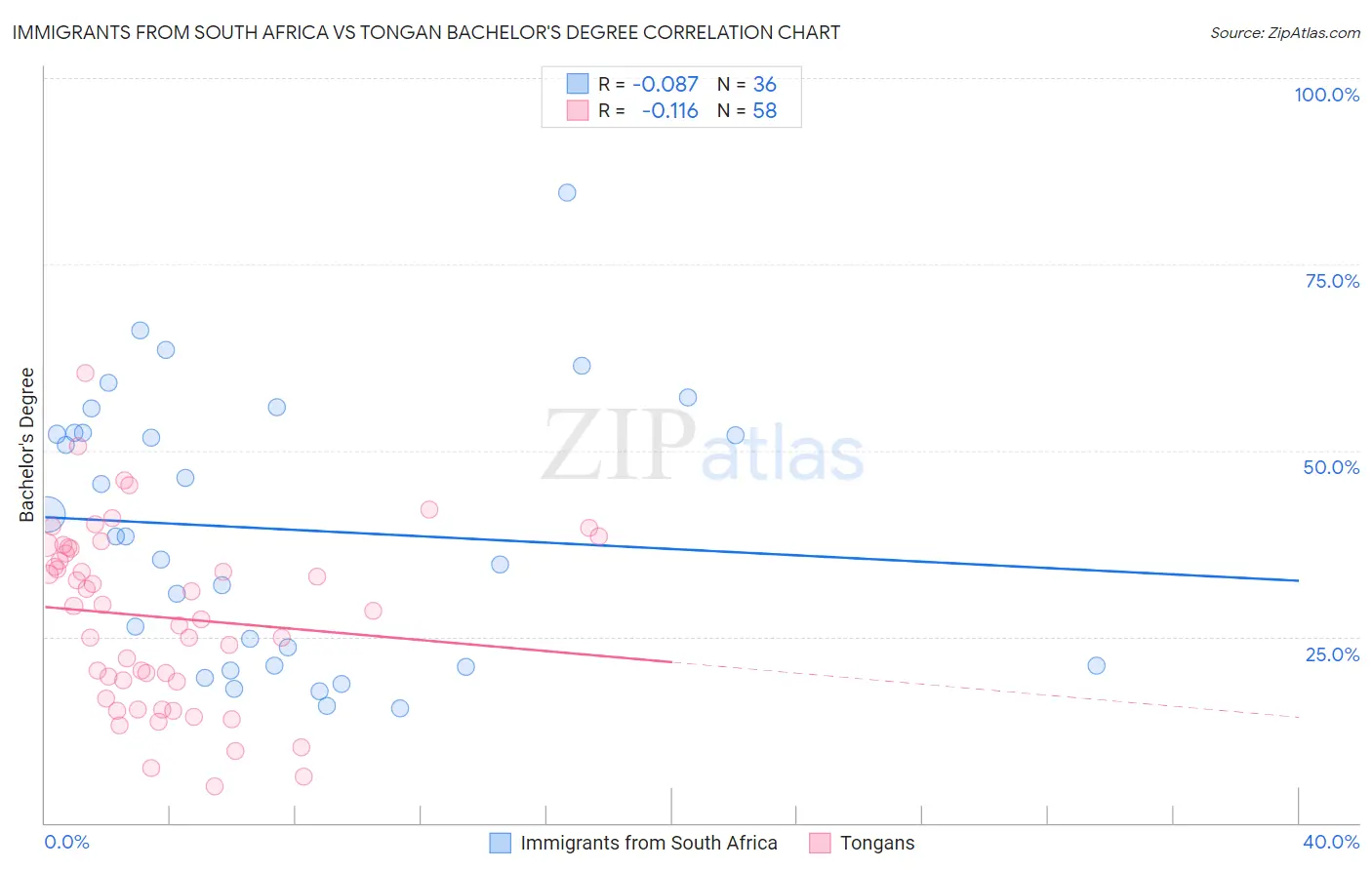 Immigrants from South Africa vs Tongan Bachelor's Degree