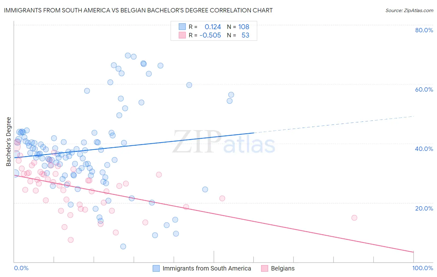 Immigrants from South America vs Belgian Bachelor's Degree