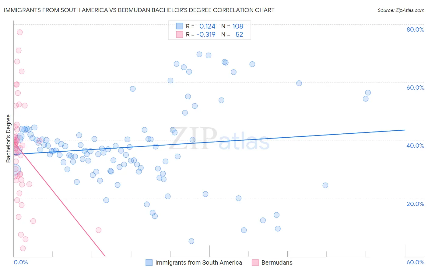 Immigrants from South America vs Bermudan Bachelor's Degree