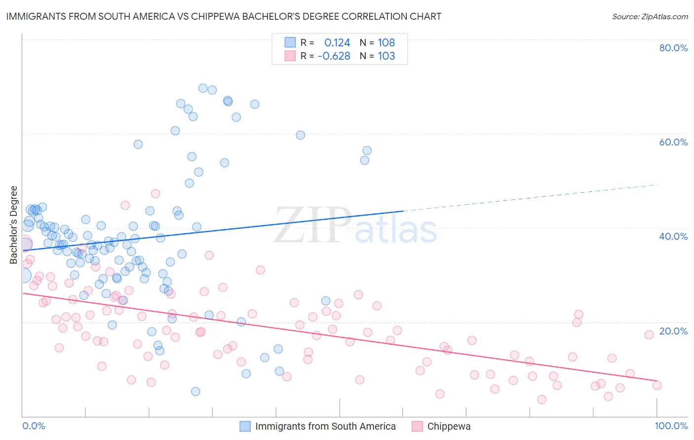 Immigrants from South America vs Chippewa Bachelor's Degree