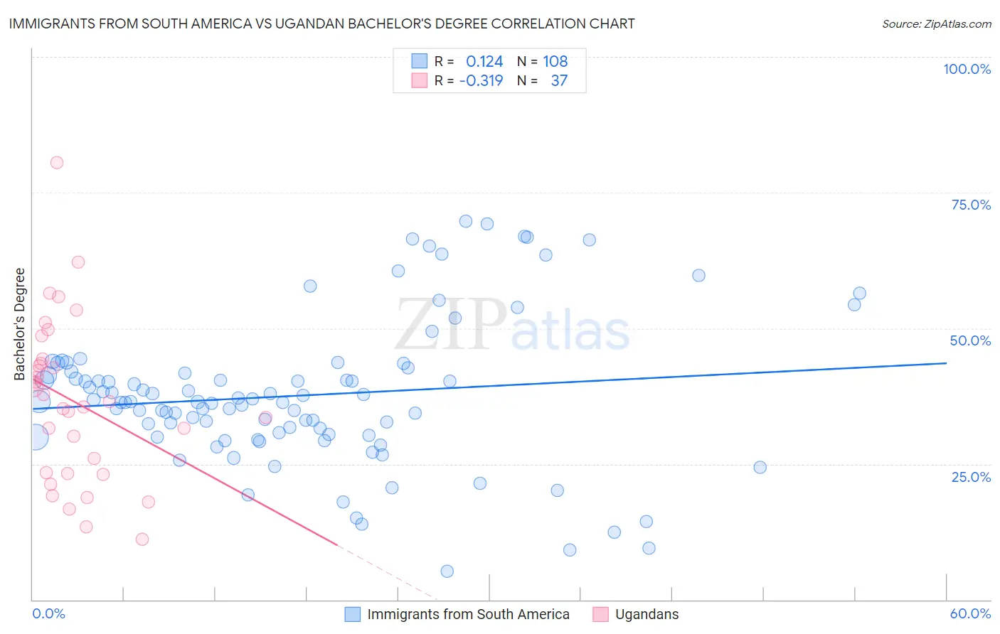 Immigrants from South America vs Ugandan Bachelor's Degree