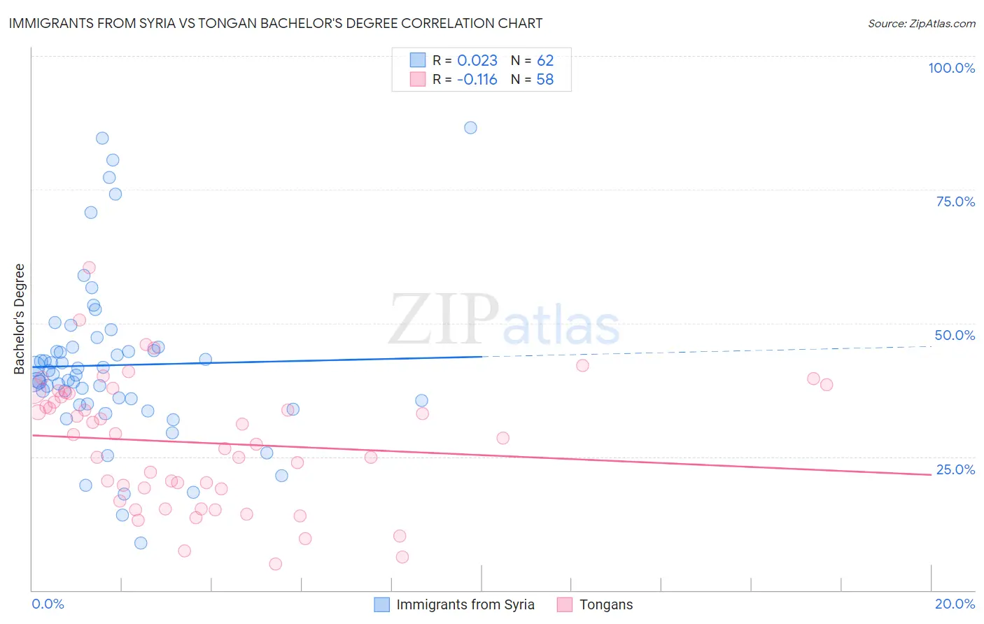 Immigrants from Syria vs Tongan Bachelor's Degree