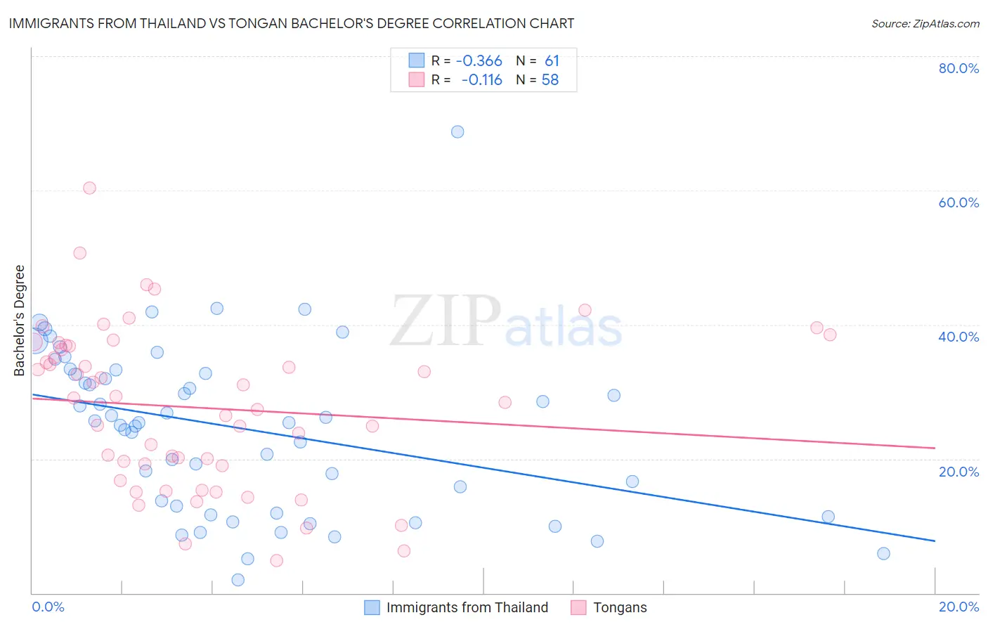 Immigrants from Thailand vs Tongan Bachelor's Degree