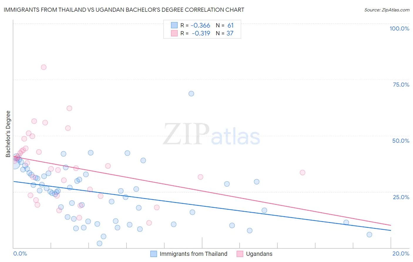 Immigrants from Thailand vs Ugandan Bachelor's Degree