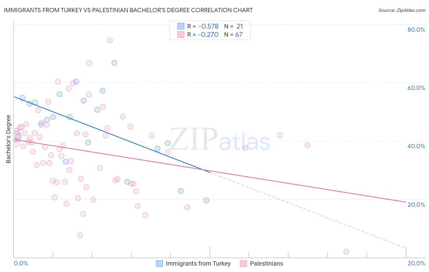 Immigrants from Turkey vs Palestinian Bachelor's Degree