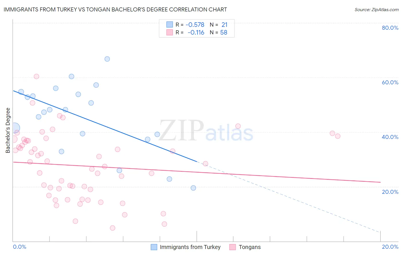 Immigrants from Turkey vs Tongan Bachelor's Degree