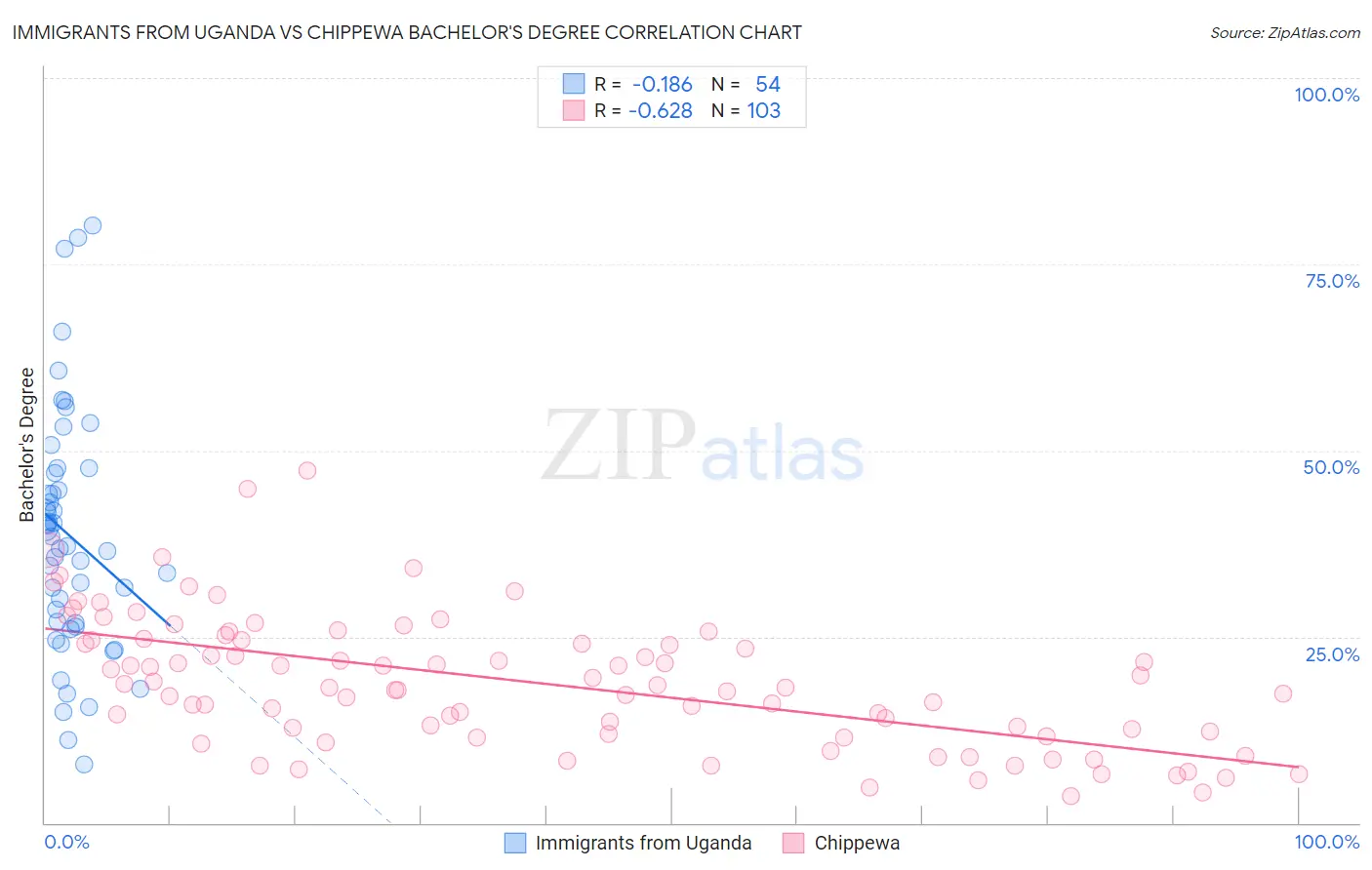 Immigrants from Uganda vs Chippewa Bachelor's Degree
