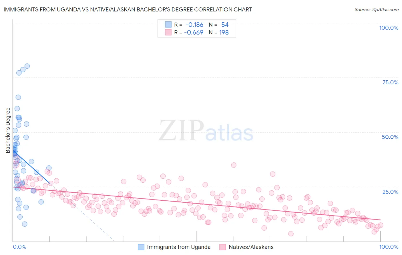 Immigrants from Uganda vs Native/Alaskan Bachelor's Degree