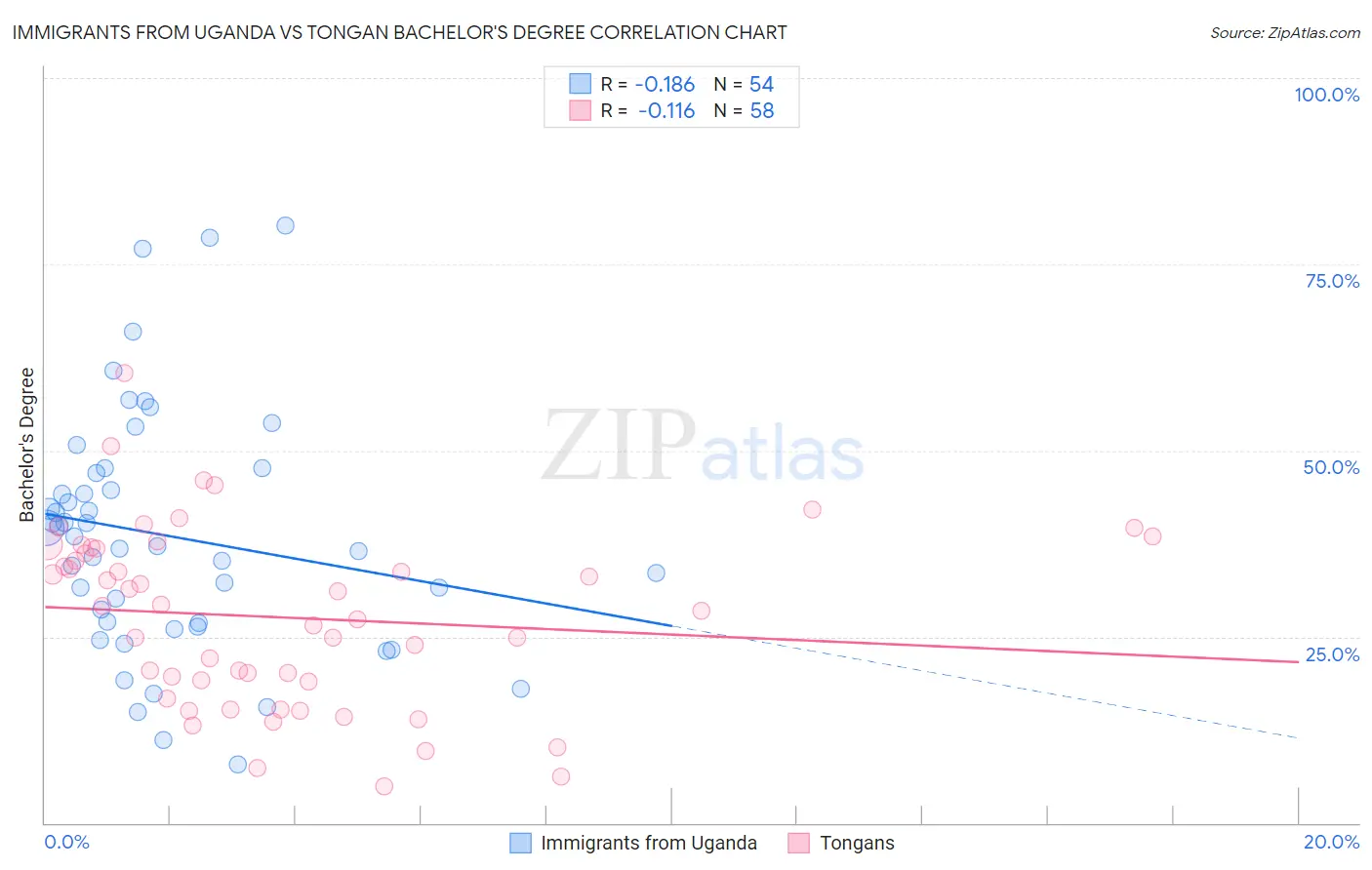 Immigrants from Uganda vs Tongan Bachelor's Degree