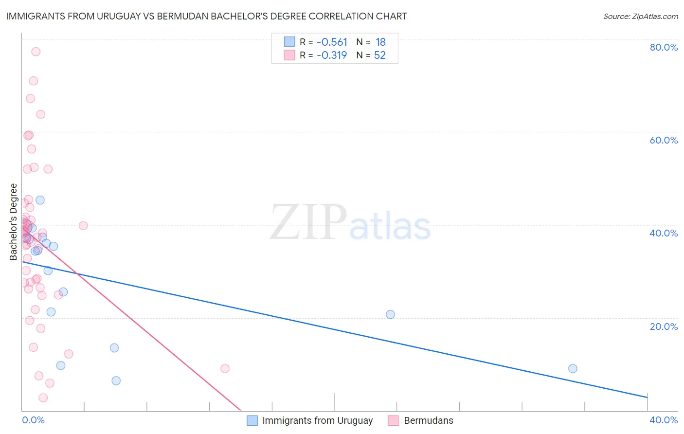Immigrants from Uruguay vs Bermudan Bachelor's Degree