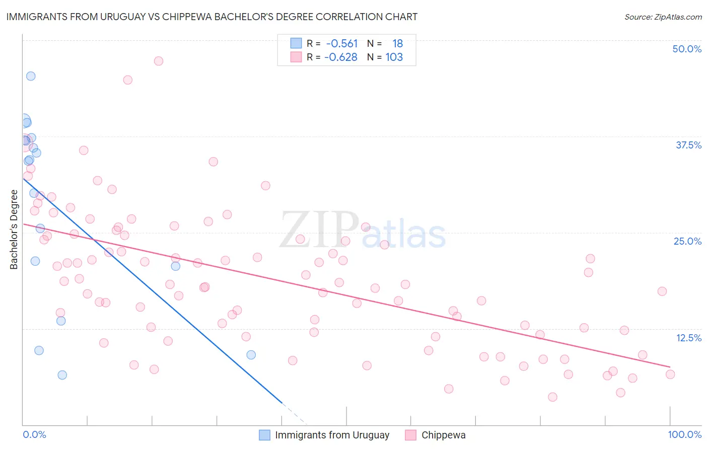 Immigrants from Uruguay vs Chippewa Bachelor's Degree