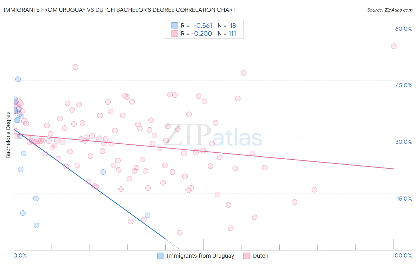 Immigrants from Uruguay vs Dutch Bachelor's Degree
