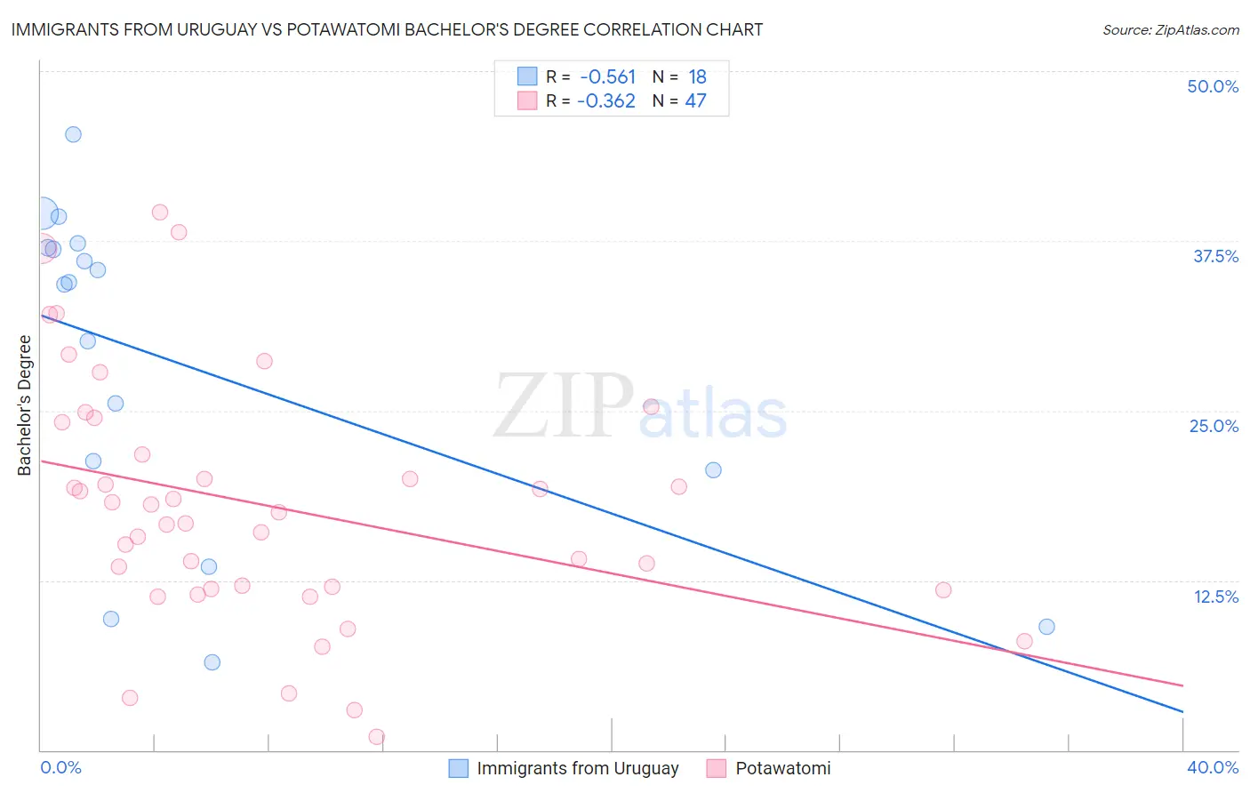 Immigrants from Uruguay vs Potawatomi Bachelor's Degree