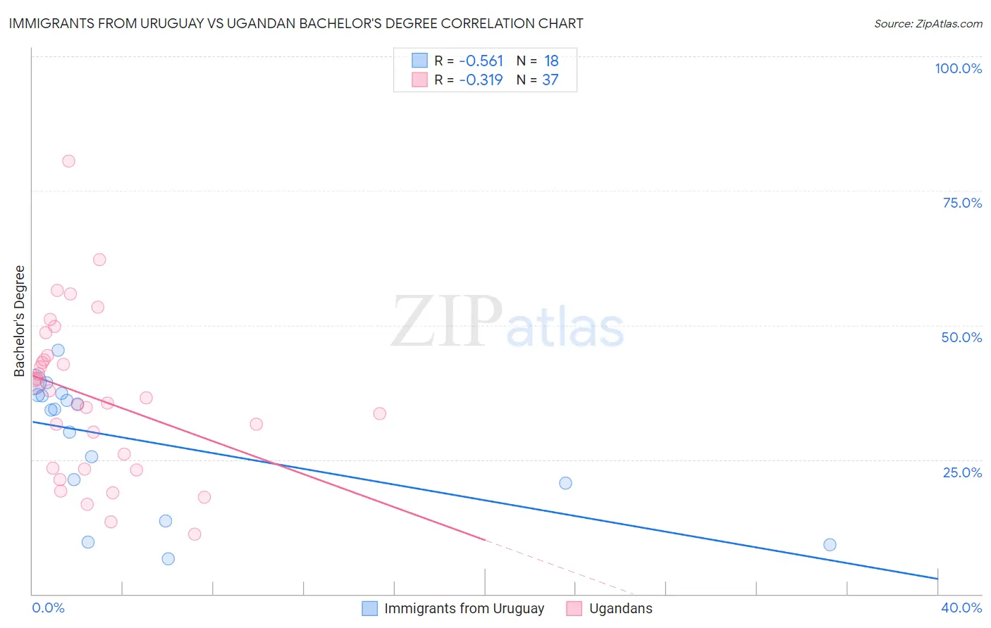 Immigrants from Uruguay vs Ugandan Bachelor's Degree