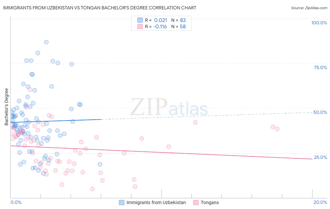 Immigrants from Uzbekistan vs Tongan Bachelor's Degree