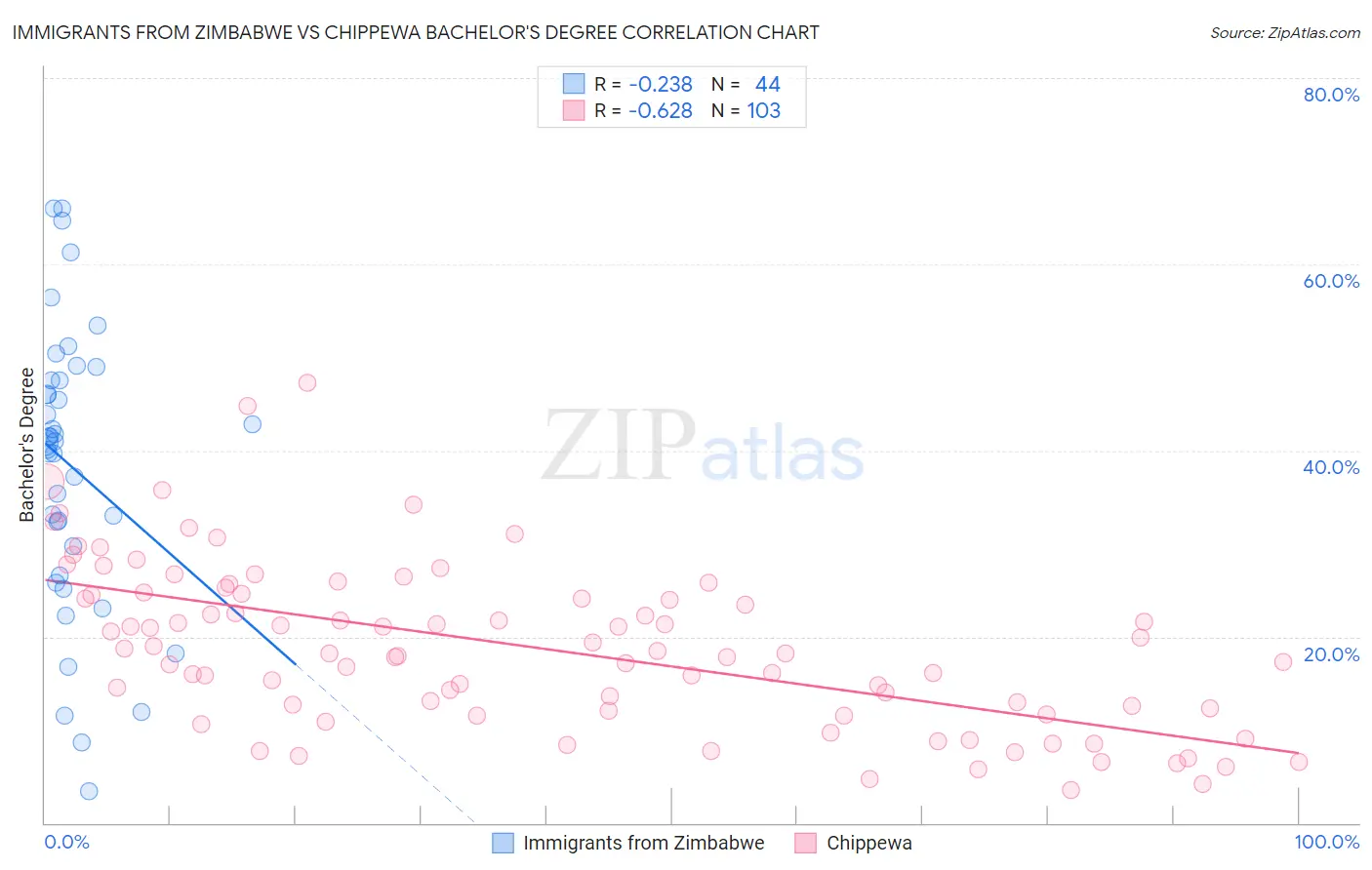 Immigrants from Zimbabwe vs Chippewa Bachelor's Degree