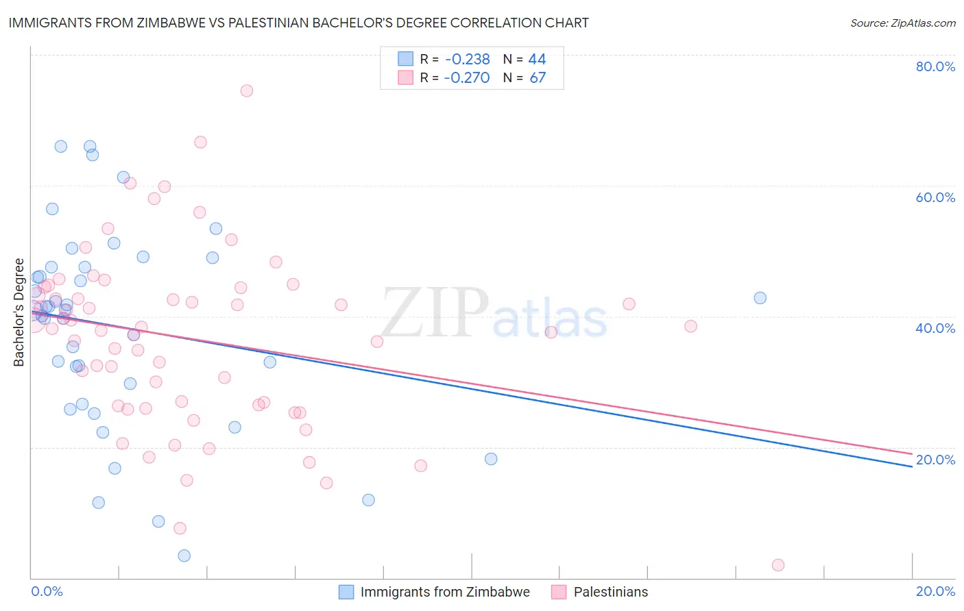 Immigrants from Zimbabwe vs Palestinian Bachelor's Degree