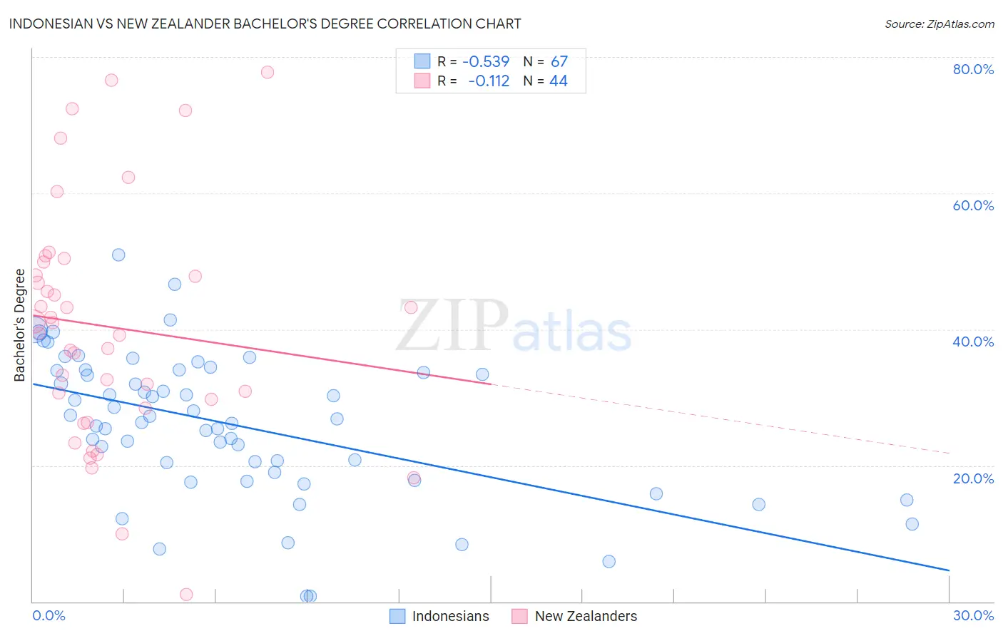 Indonesian vs New Zealander Bachelor's Degree