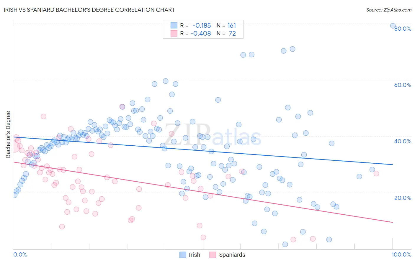 Irish vs Spaniard Bachelor's Degree