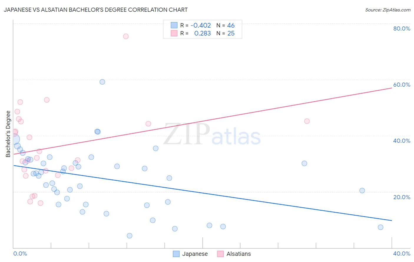 Japanese vs Alsatian Bachelor's Degree