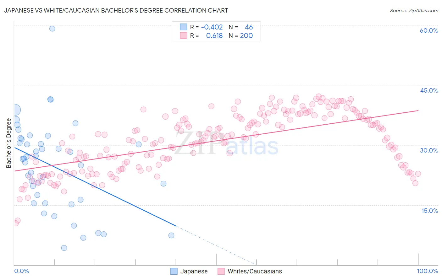 Japanese vs White/Caucasian Bachelor's Degree