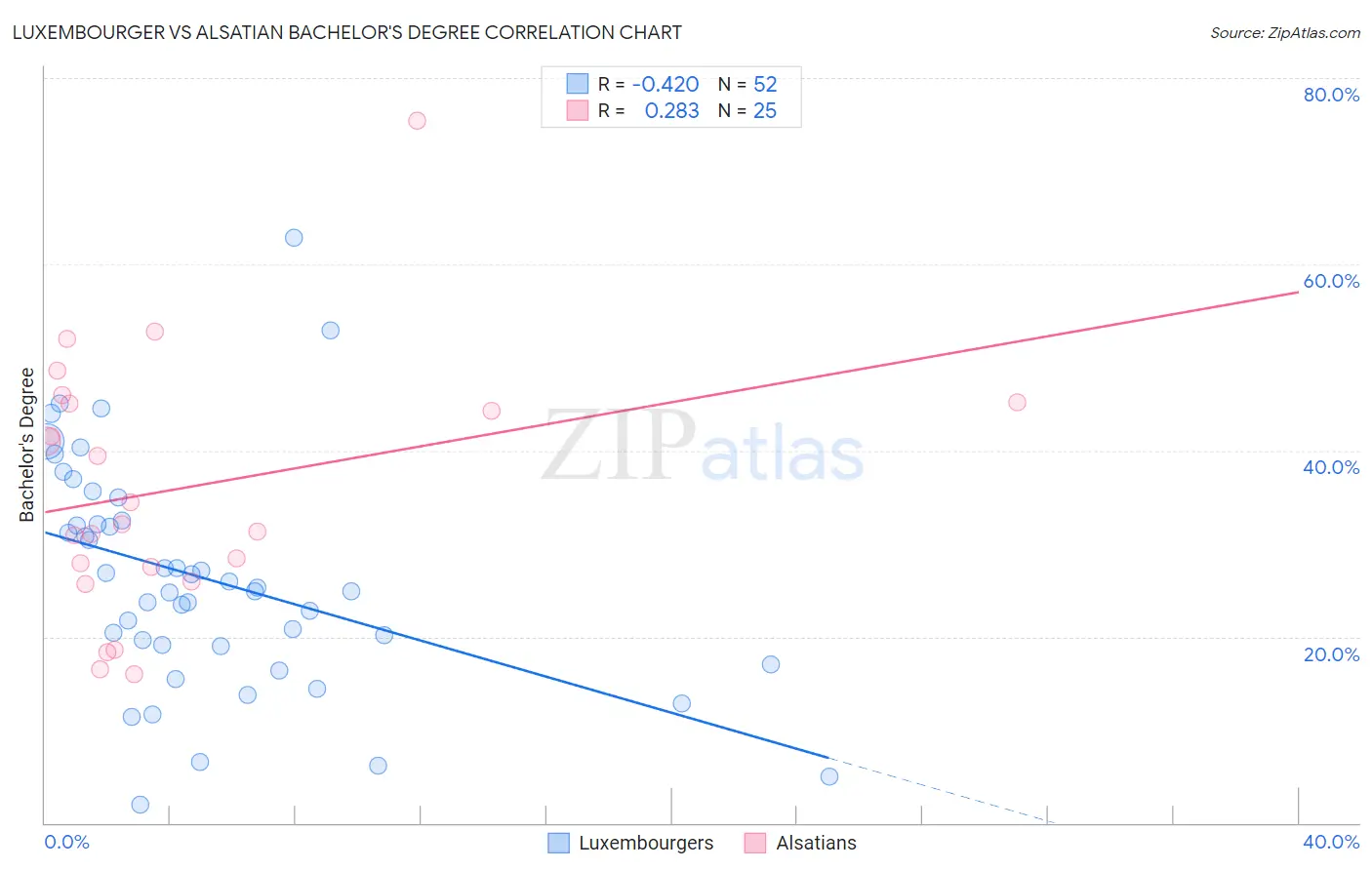 Luxembourger vs Alsatian Bachelor's Degree