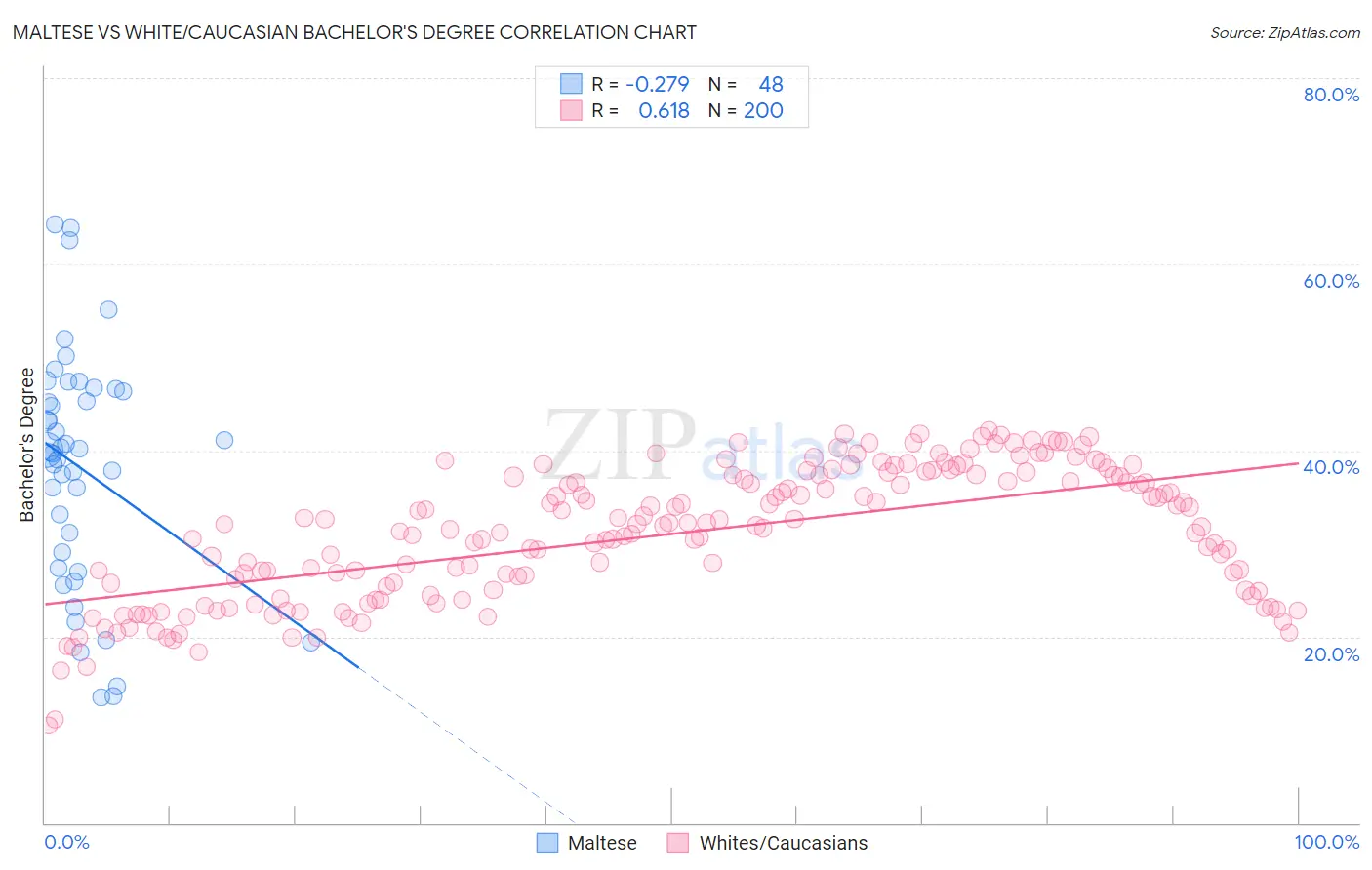 Maltese vs White/Caucasian Bachelor's Degree
