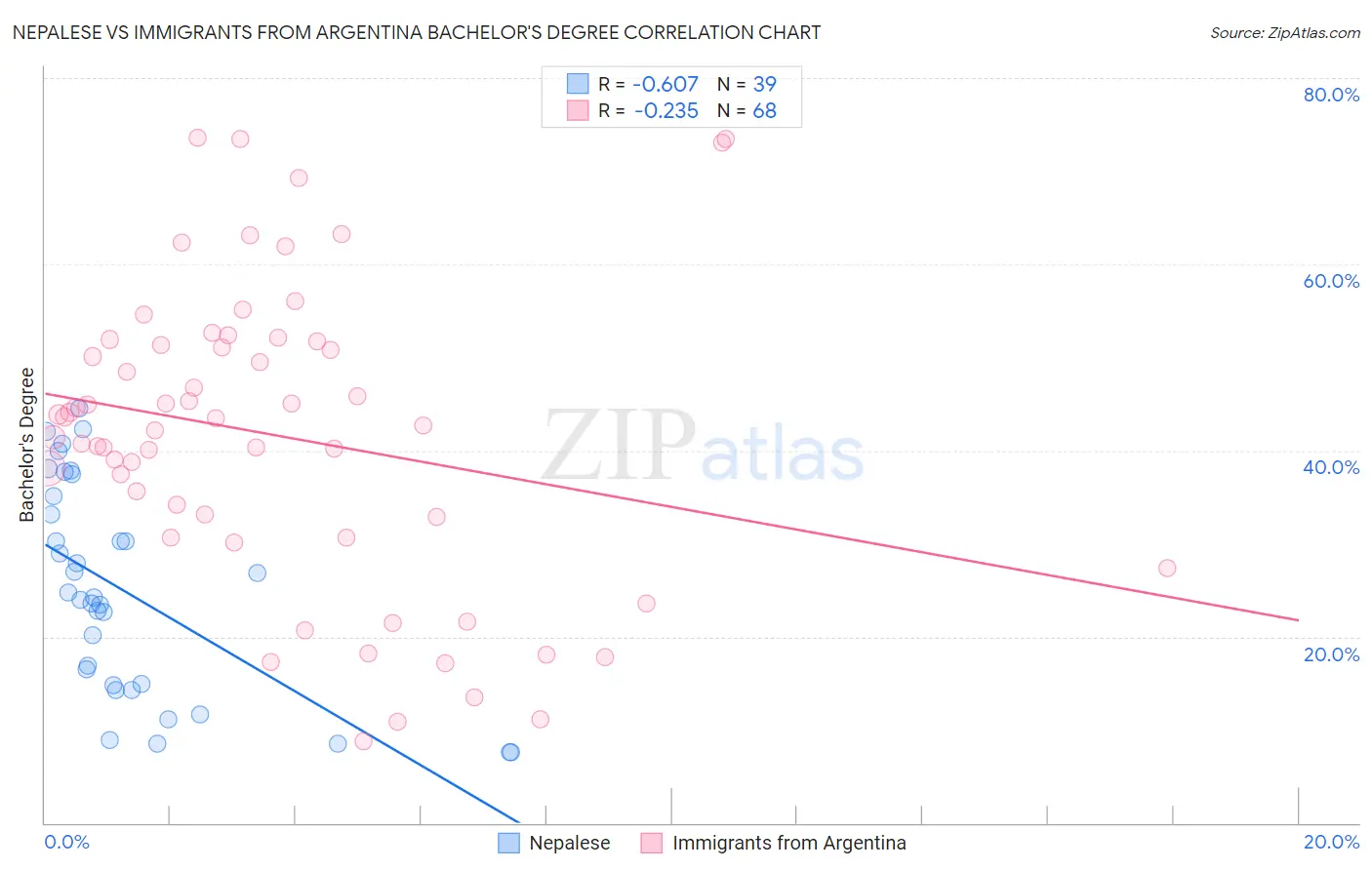 Nepalese vs Immigrants from Argentina Bachelor's Degree