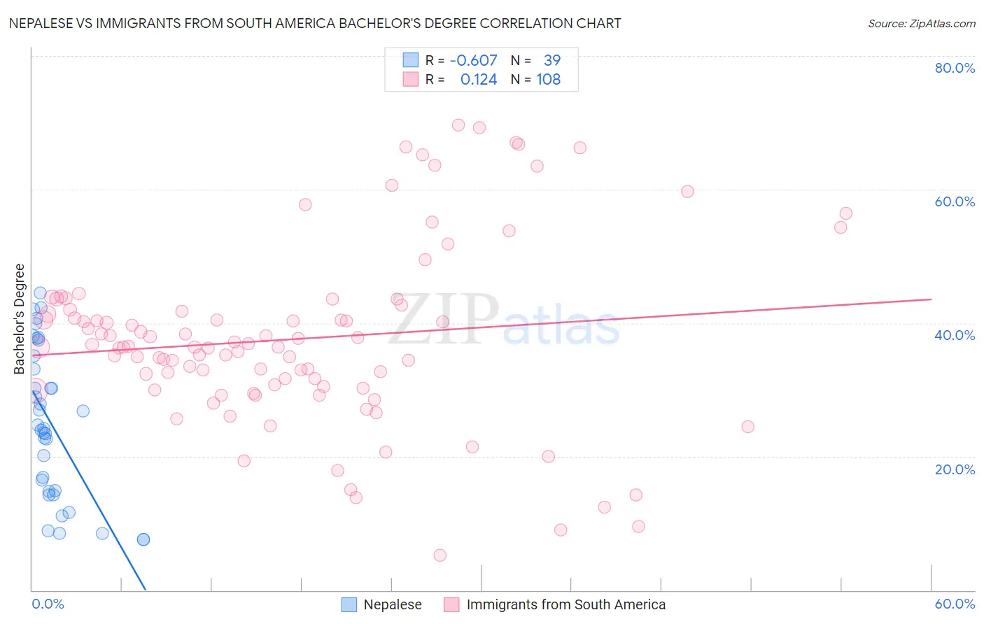 Nepalese vs Immigrants from South America Bachelor's Degree