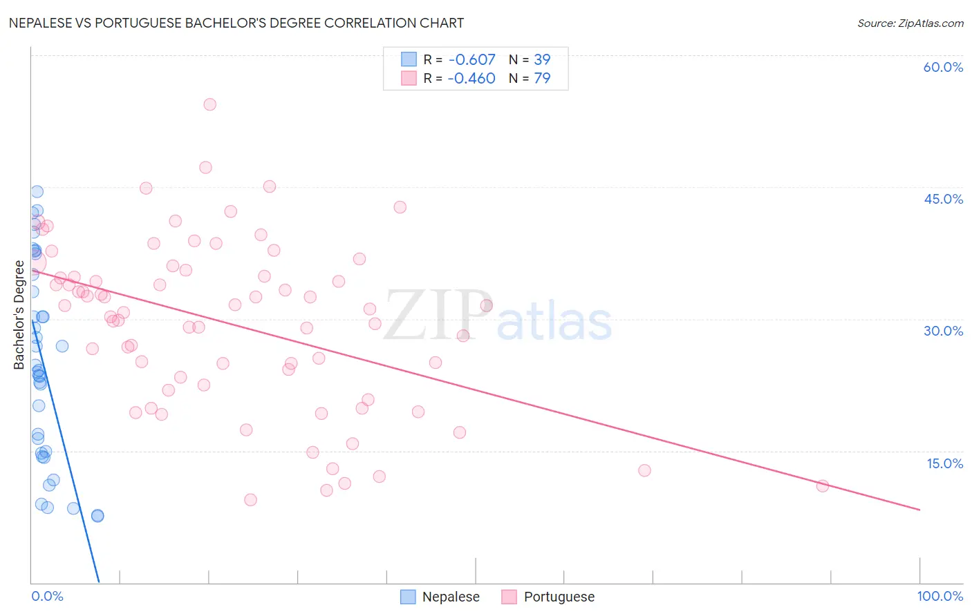 Nepalese vs Portuguese Bachelor's Degree