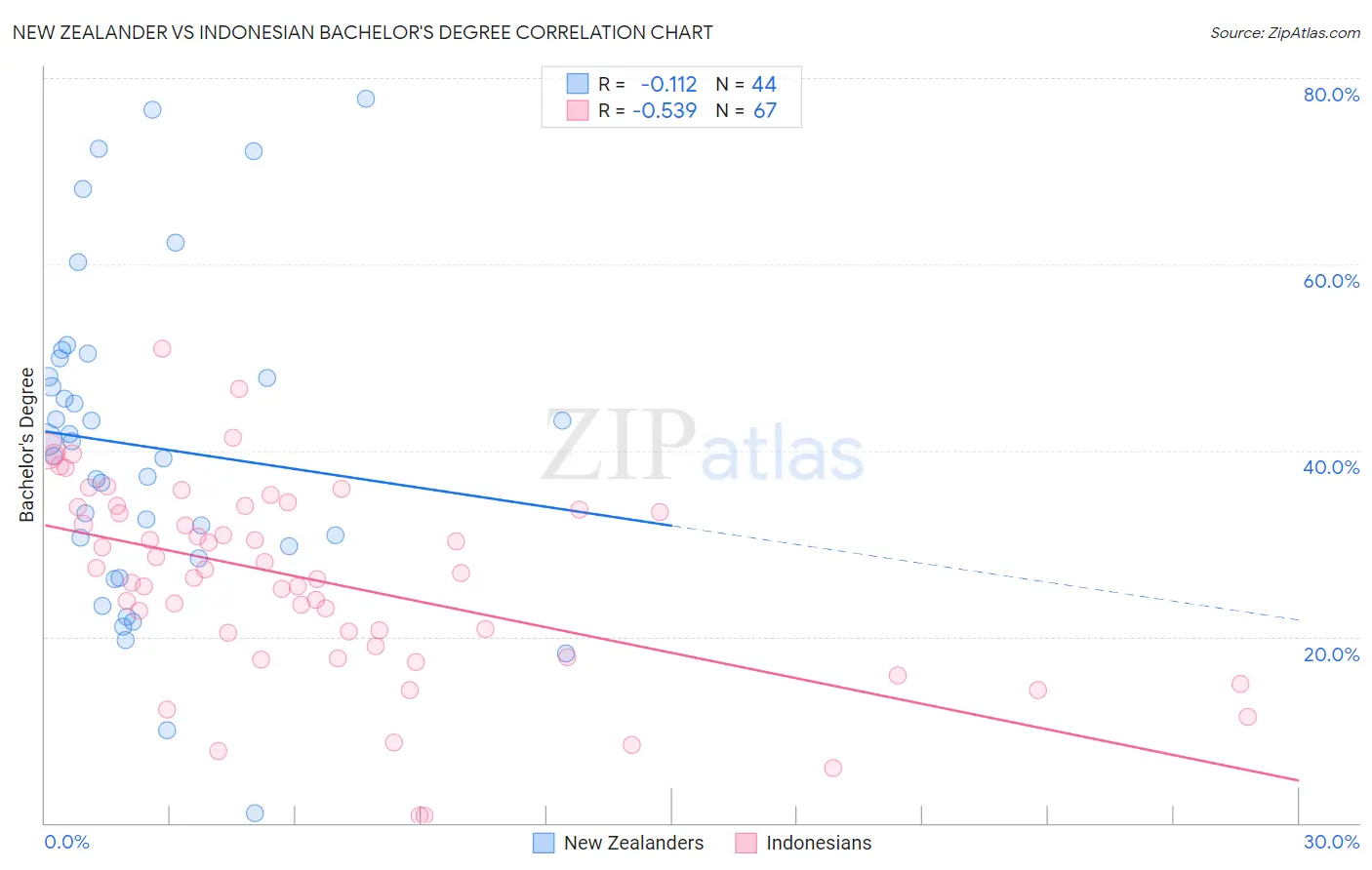 New Zealander vs Indonesian Bachelor's Degree