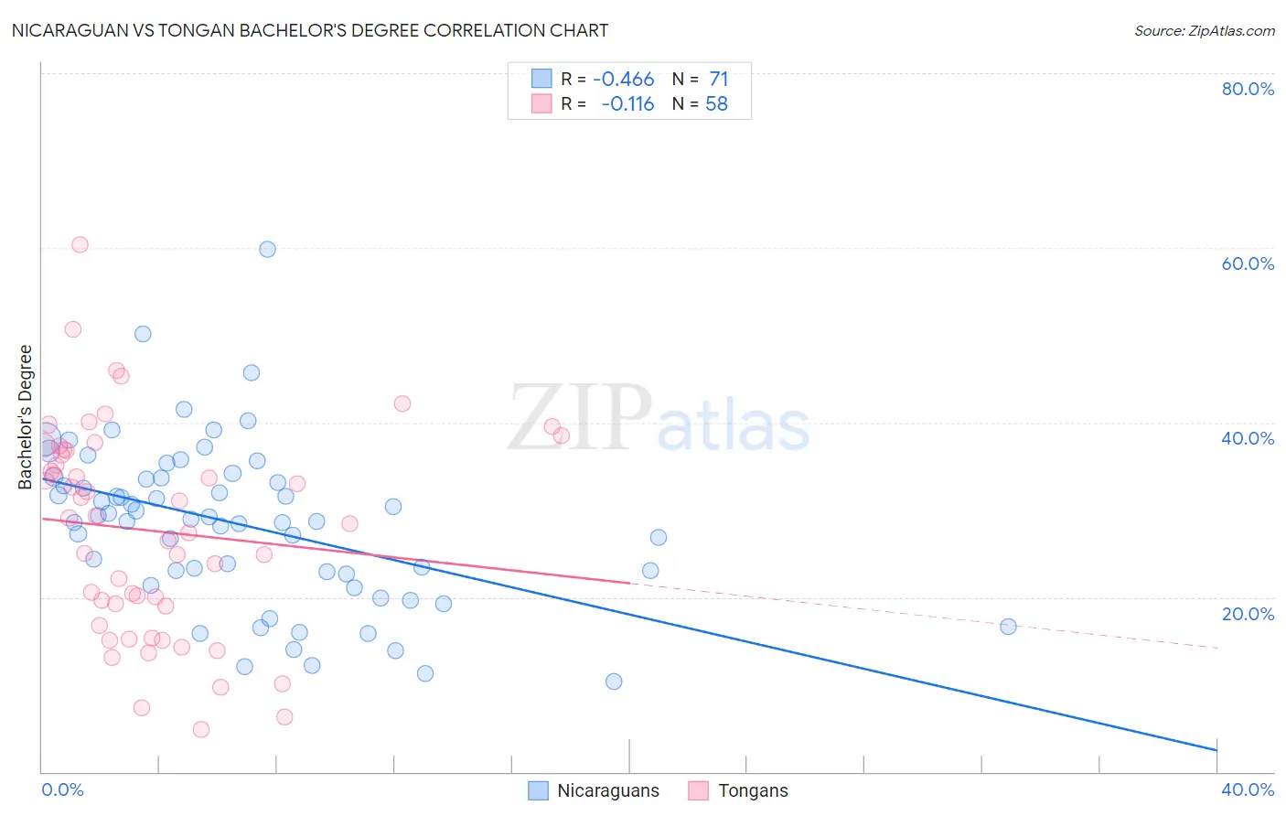 Nicaraguan vs Tongan Bachelor's Degree