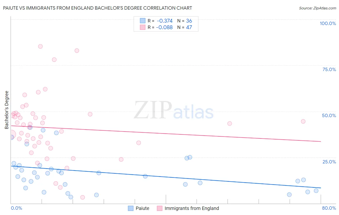 Paiute vs Immigrants from England Bachelor's Degree