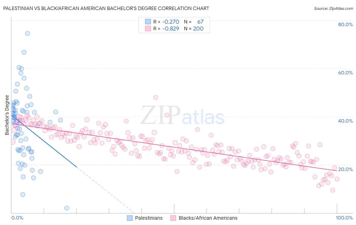 Palestinian vs Black/African American Bachelor's Degree