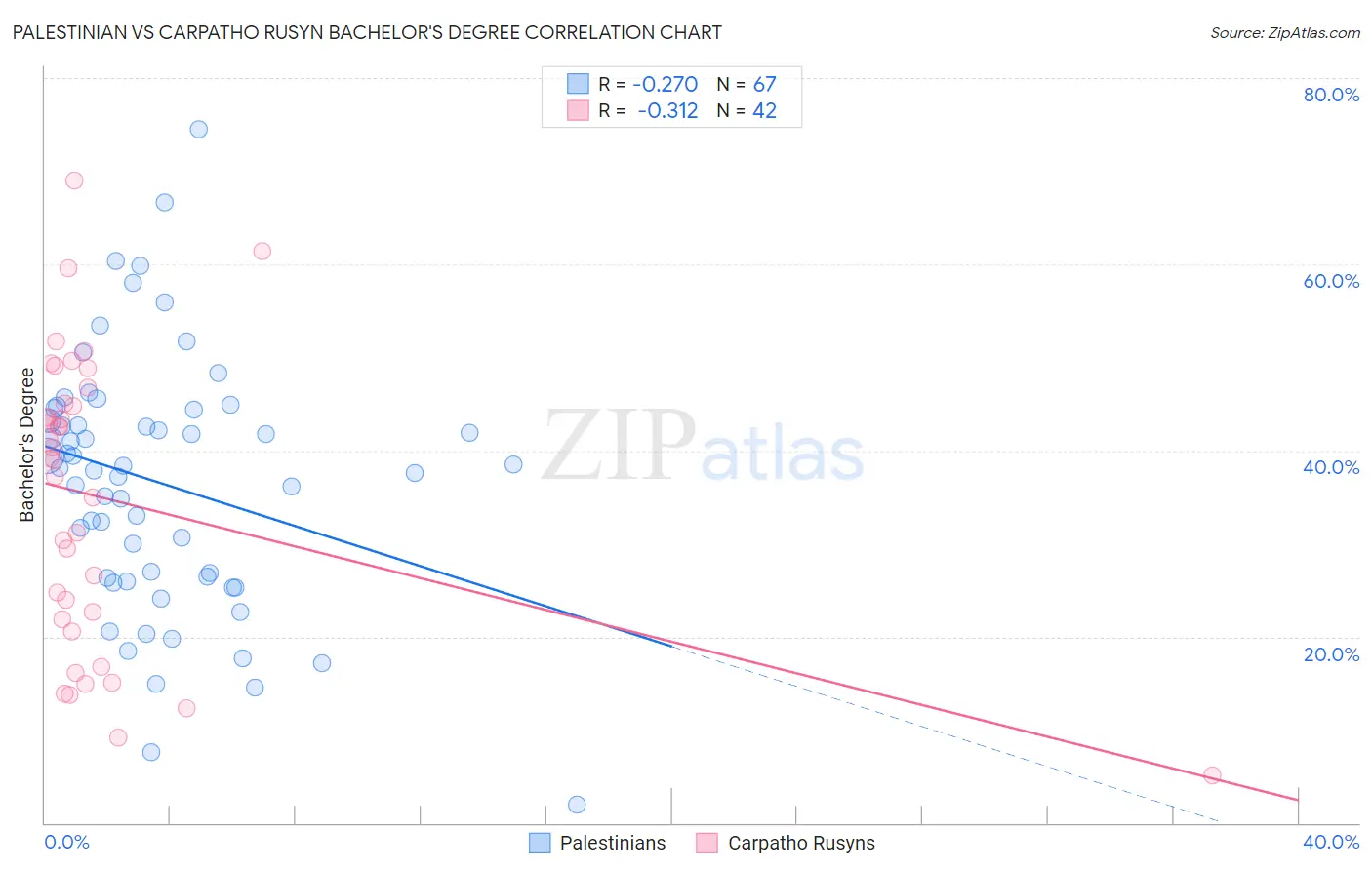 Palestinian vs Carpatho Rusyn Bachelor's Degree