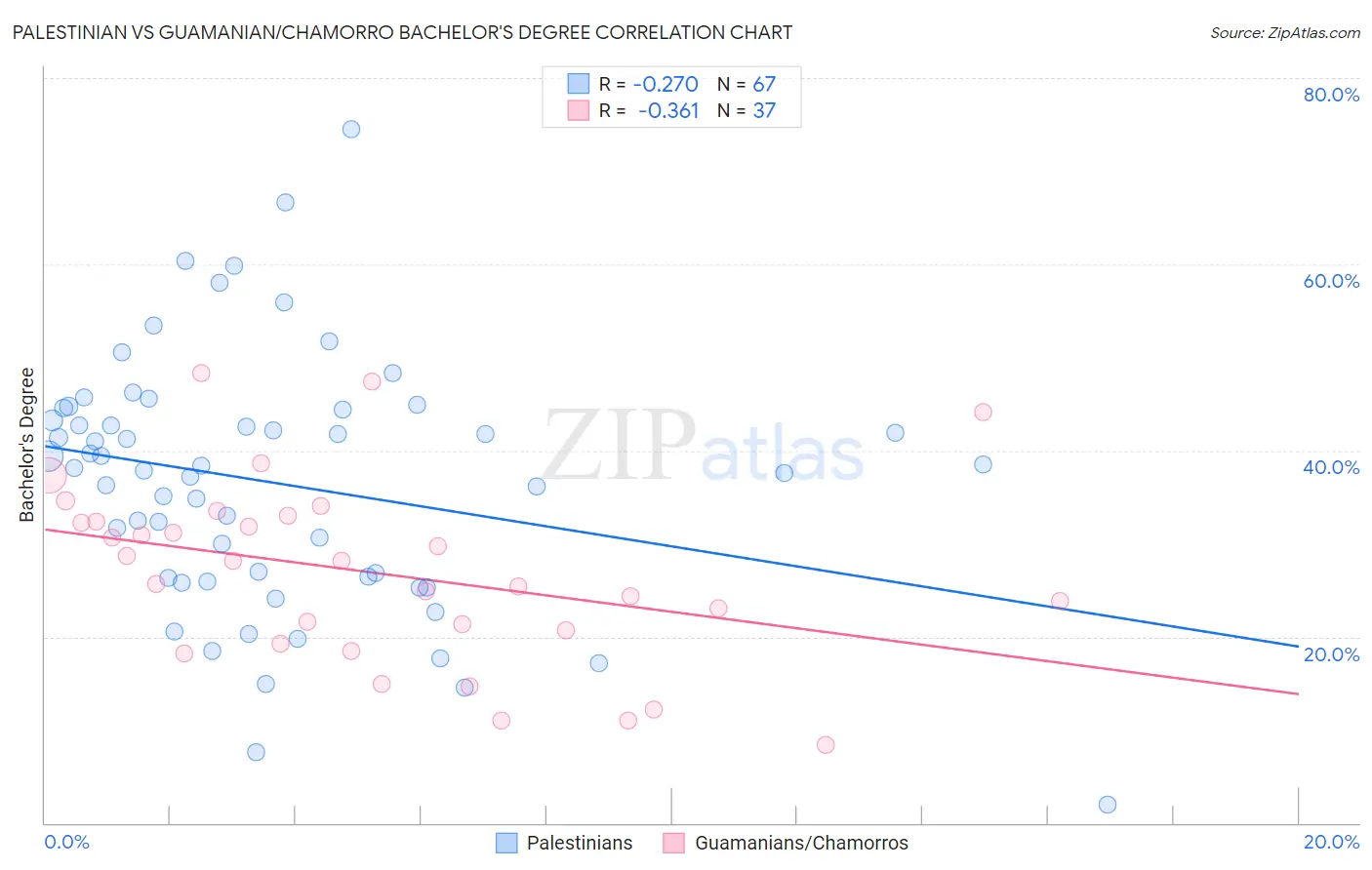 Palestinian vs Guamanian/Chamorro Bachelor's Degree