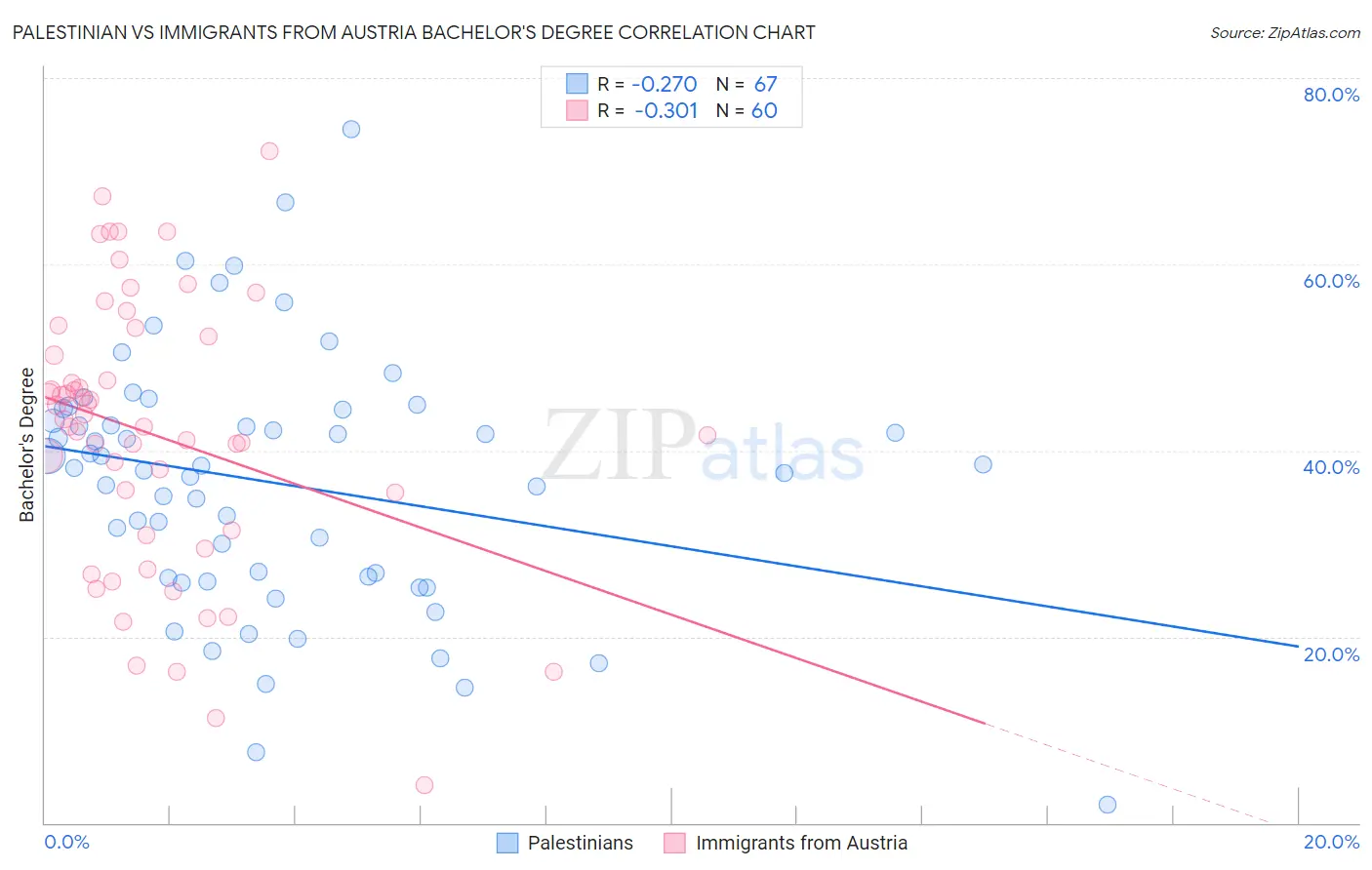 Palestinian vs Immigrants from Austria Bachelor's Degree