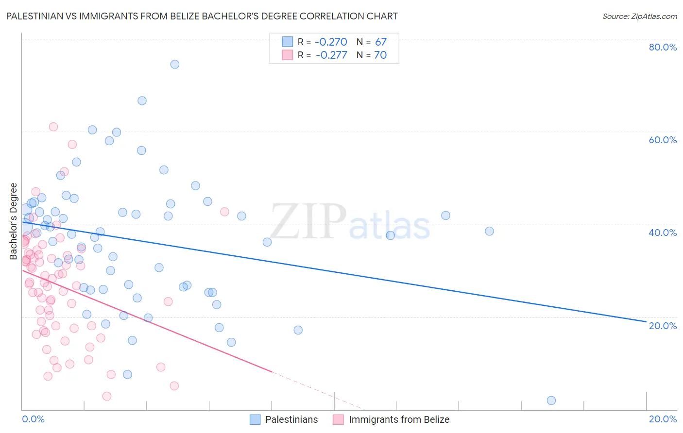 Palestinian vs Immigrants from Belize Bachelor's Degree