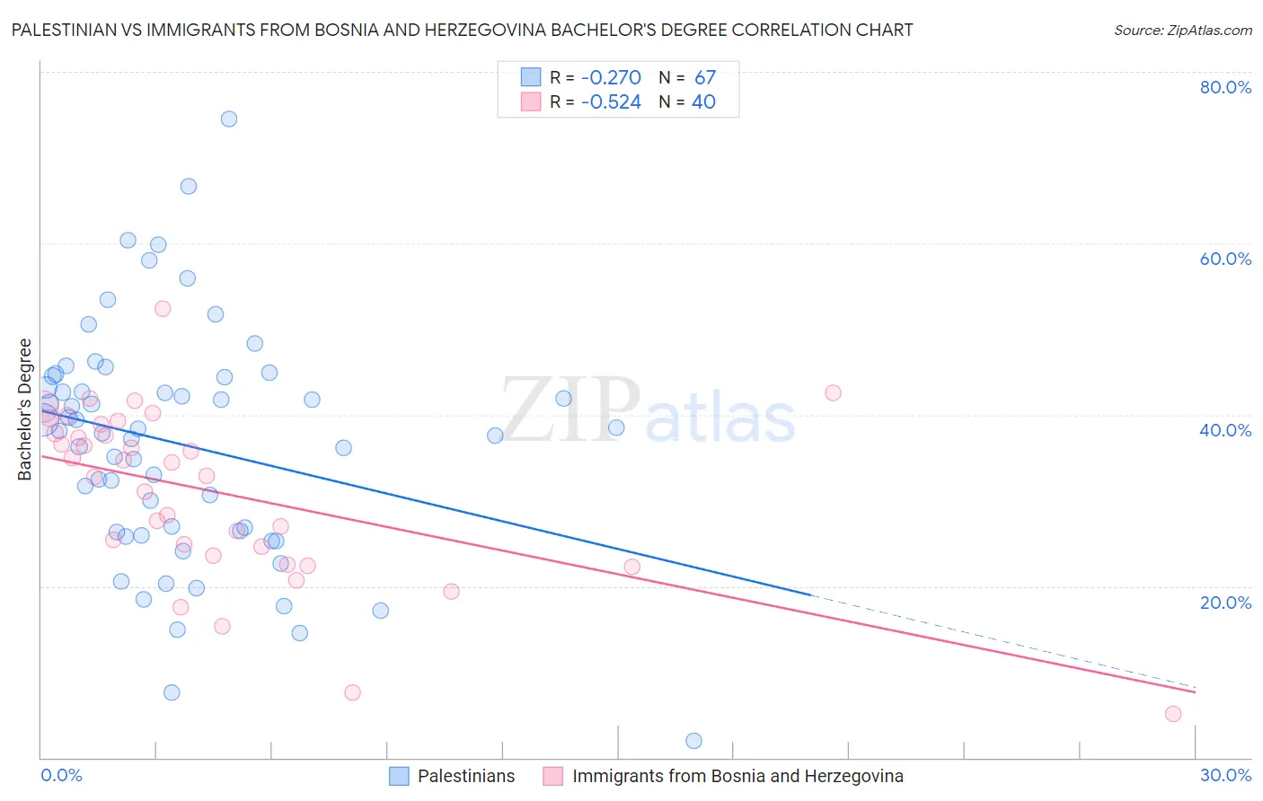 Palestinian vs Immigrants from Bosnia and Herzegovina Bachelor's Degree