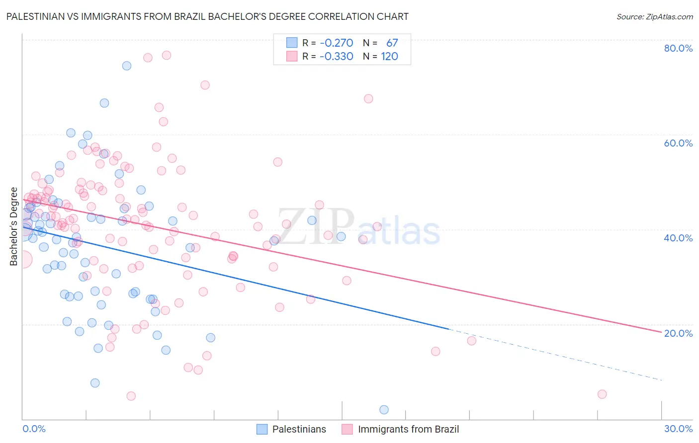Palestinian vs Immigrants from Brazil Bachelor's Degree